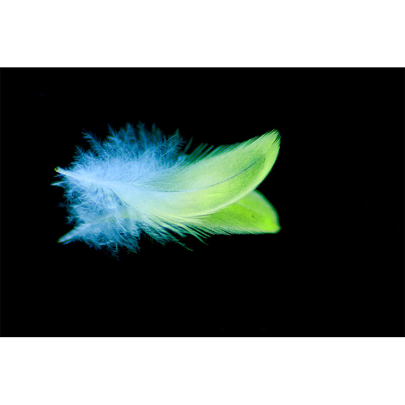 Photography Environment Friendly Mural Wallpaper Feather Decoration Bedroom Wall Mural