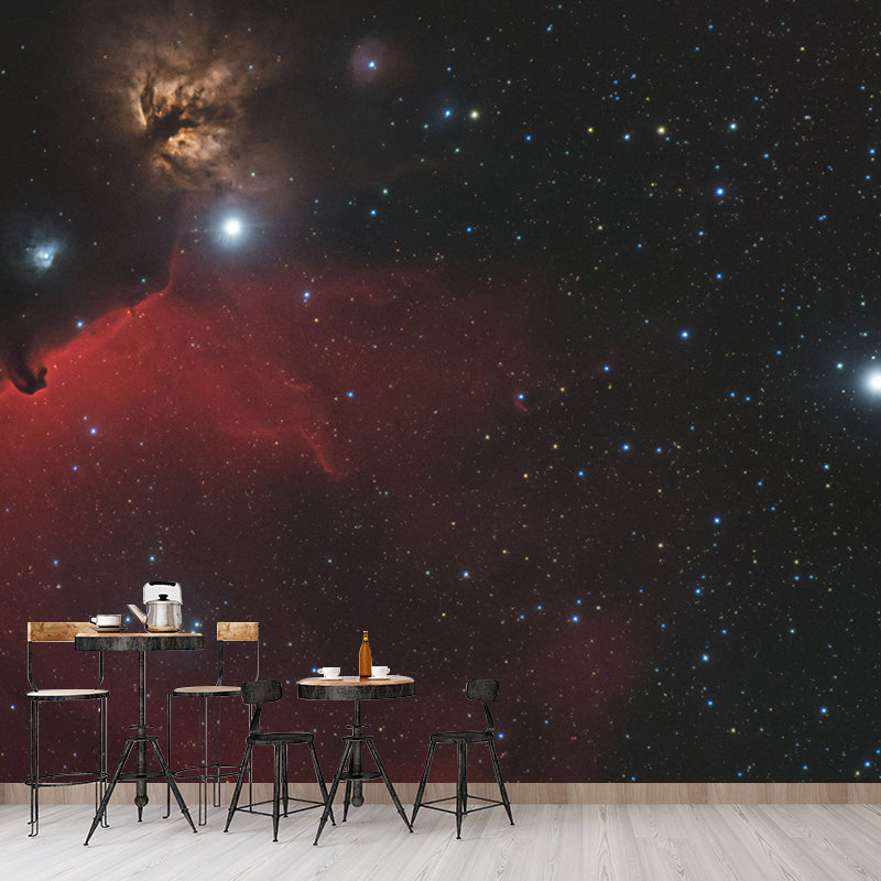 Environmental Photography Mural Wallpaper Starry Sky Indoor Wall Mural