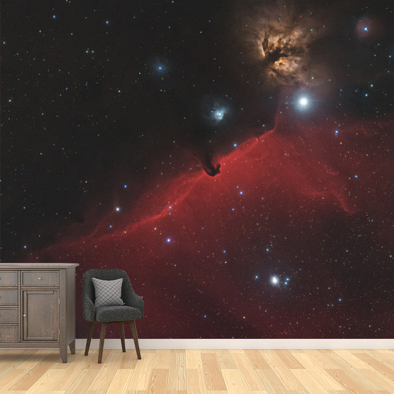 Environmental Photography Mural Wallpaper Starry Sky Indoor Wall Mural