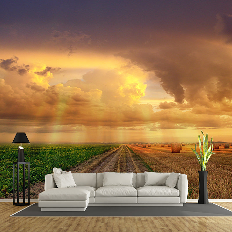 Colorful Sky Photography Stain Resistant Mural Wallpaper Indoor Wall Mural