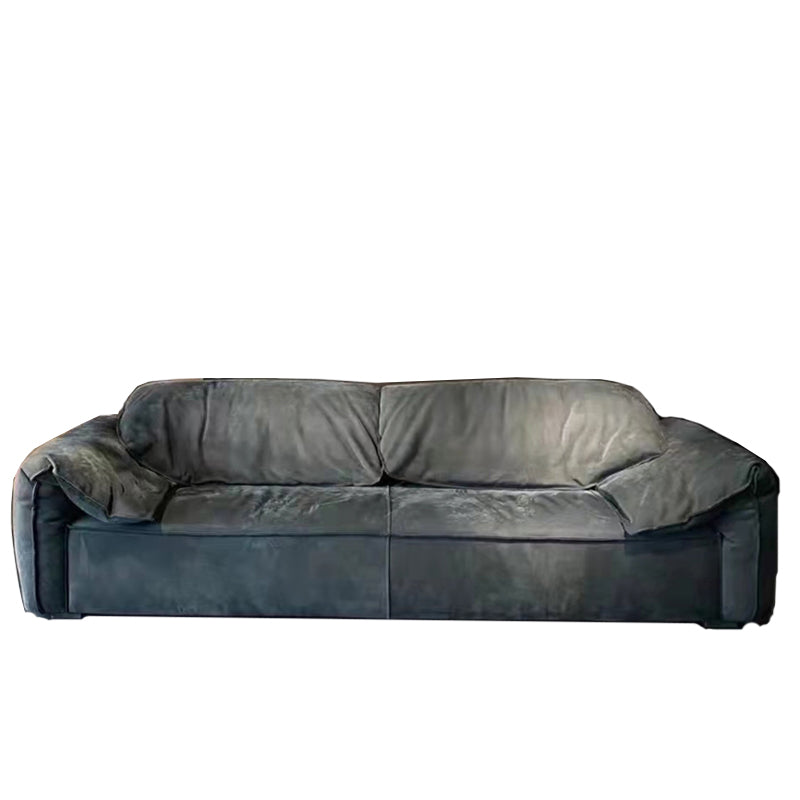 Modern Pillow Top Arm Standard Sofa Impermeable Sofa for Living Room, Apartment