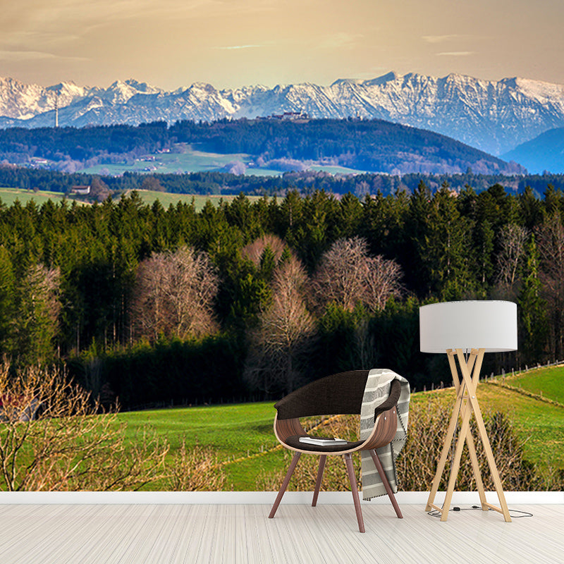 Decorative Wall Mural Wallpaper Forest Photography Sitting Room Wall Mural