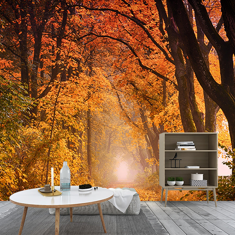 Photography Wall Mural Wallpaper Forest Scenery Sitting Room Wall Mural