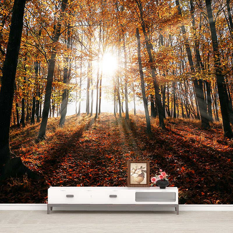 Forest Scenery Mildew Resistant Wallpaper Environmental Sleeping Room Wall Mural