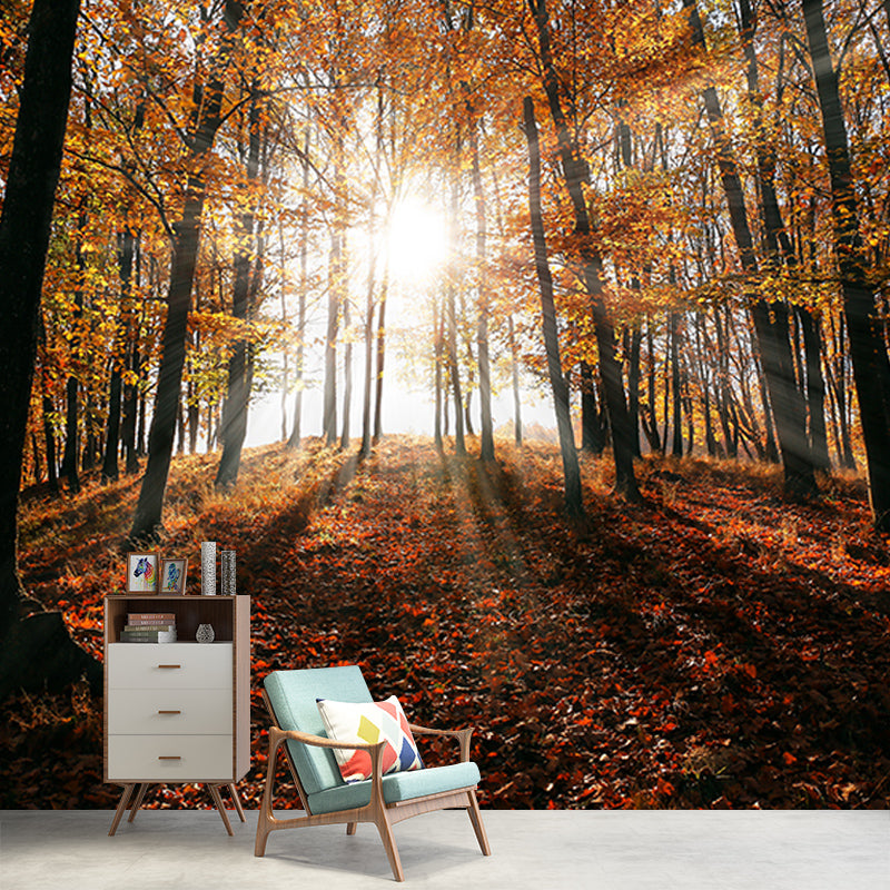 Forest Scenery Mildew Resistant Wallpaper Environmental Sleeping Room Wall Mural