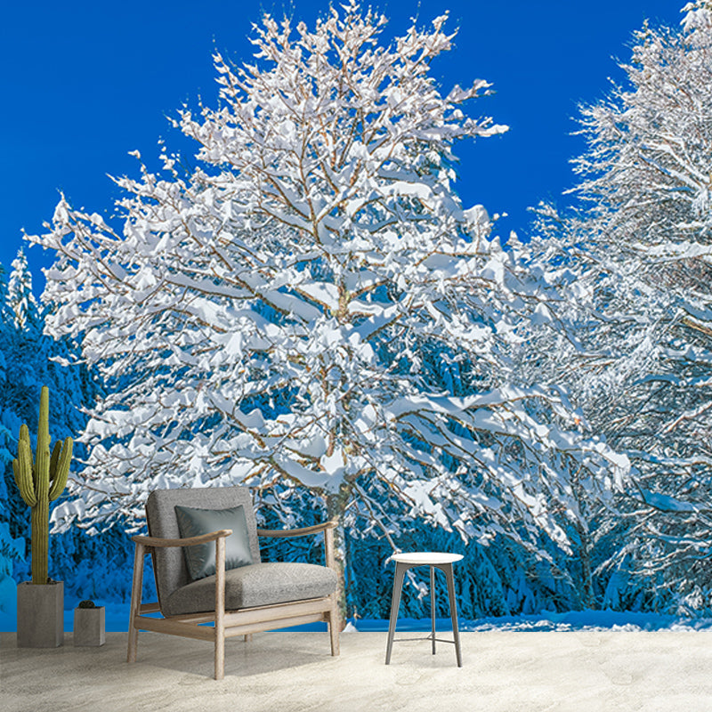 Modern Photography Mural Wallpaper Forest Scenery Indoor Wall Mural