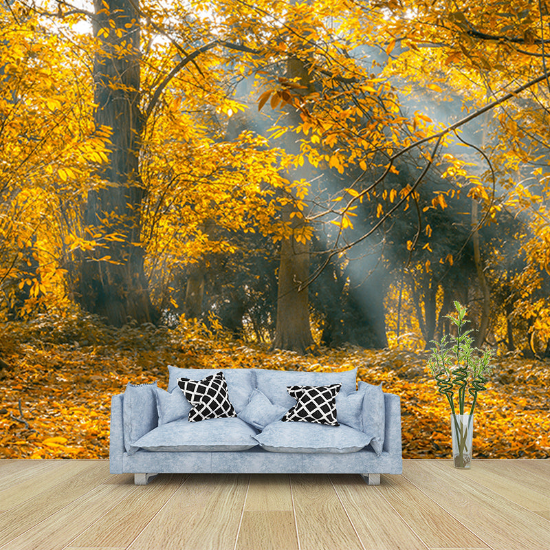 Modern Photography Mural Wallpaper Forest Scenery Indoor Wall Mural