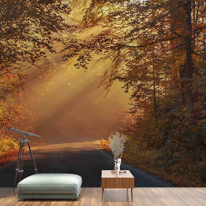 Modern Photography Mural Wallpaper Forest Scenery Indoor Wall Mural