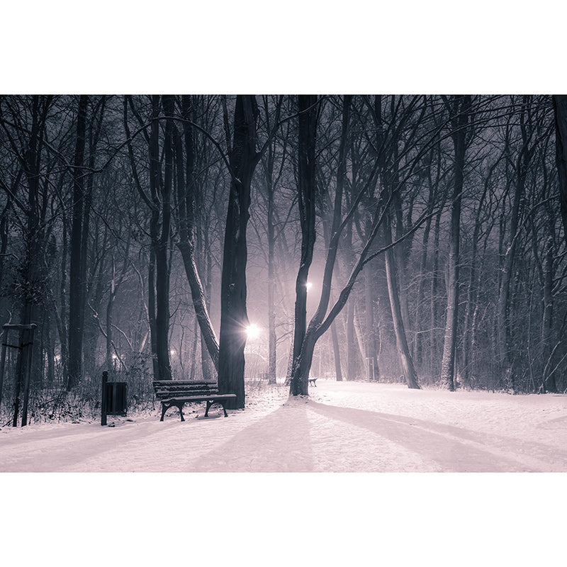 Modern Photography Mural Wallpaper Forest Scenery Indoor Wall Mural