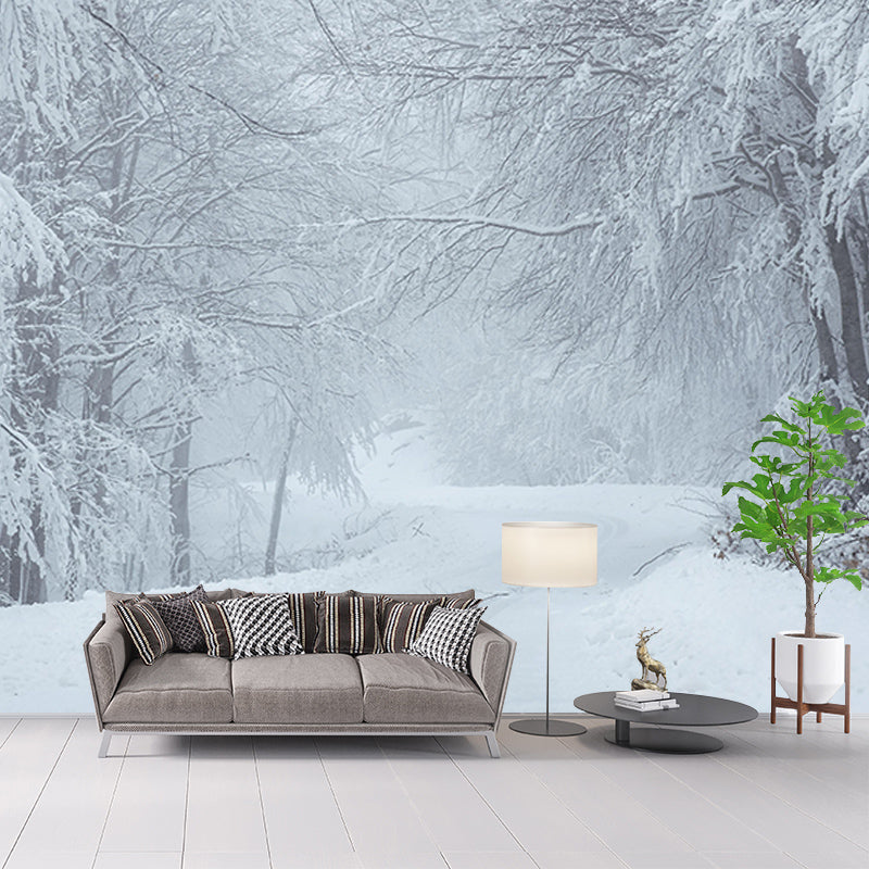 Forest Environmental Photography Mural Wallpaper Indoor Wall Mural