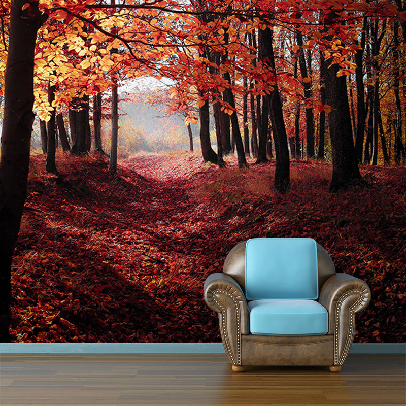 Forest Environmental Photography Mural Wallpaper Indoor Wall Mural