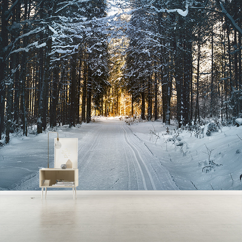 Photography Environment Friendly Mural Wallpaper Forest Bedroom Wall Mural