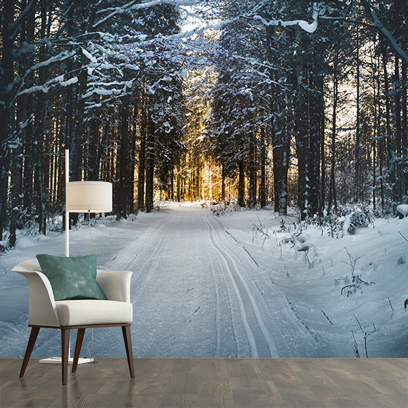 Photography Environment Friendly Mural Wallpaper Forest Bedroom Wall Mural