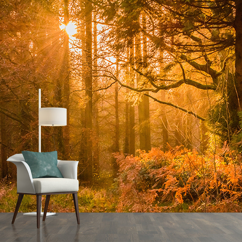Photography Environment Friendly Mural Wallpaper Forest Bedroom Wall Mural