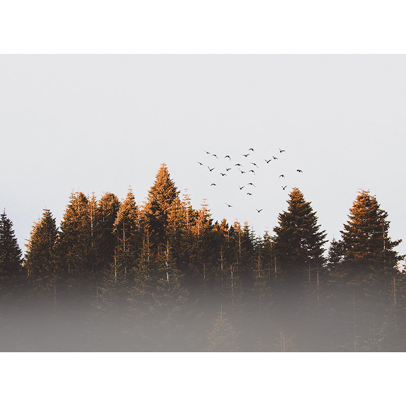 Photography Stain Resistant Wallpaper Forest Living Room Wall Mural