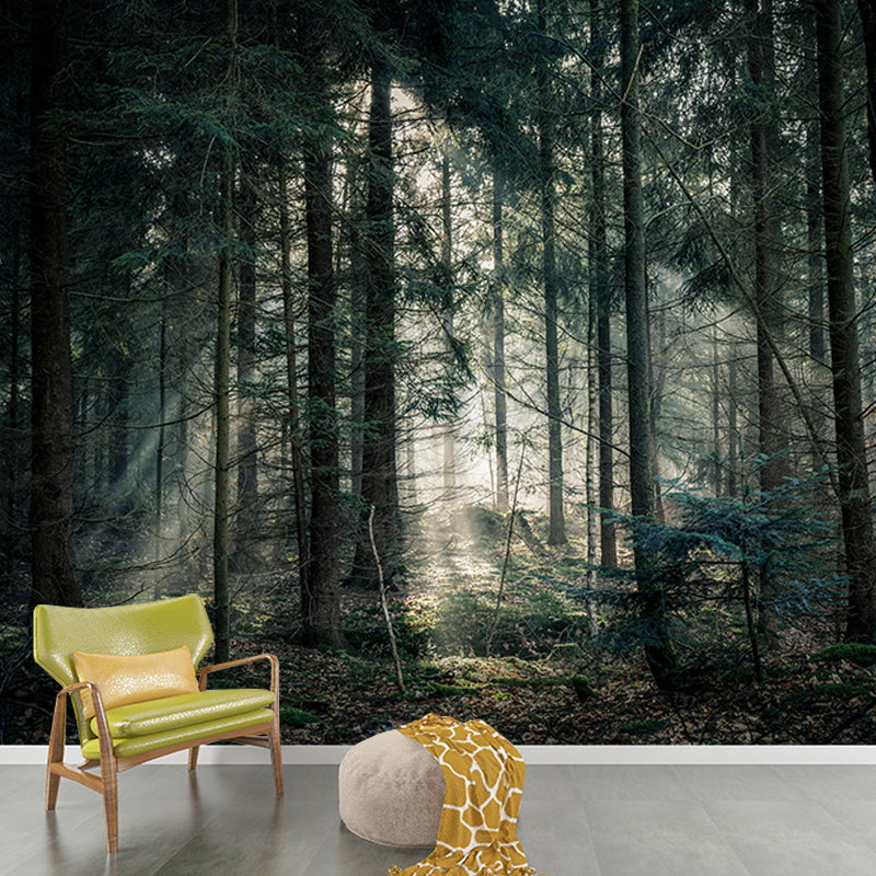 Photography Stain Resistant Wallpaper Forest Living Room Wall Mural