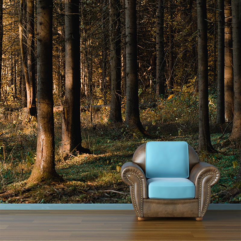 Forest Environmental Wall Mural Wallpaper Sitting Room Wall Mural
