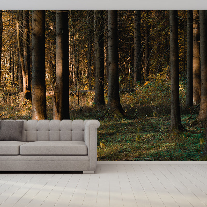 Forest Environmental Wall Mural Wallpaper Sitting Room Wall Mural