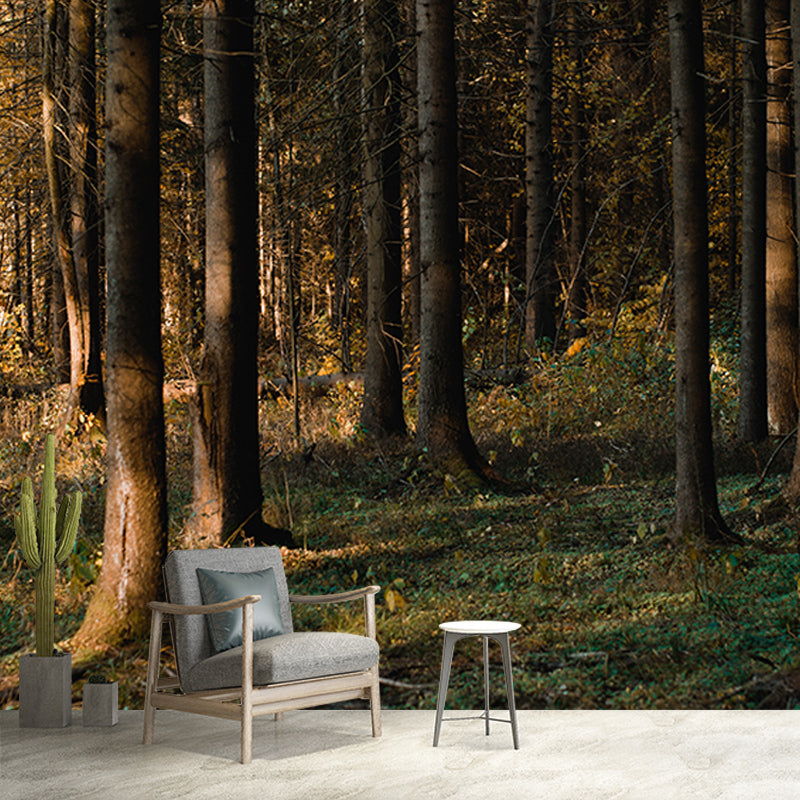 Forest Environmental Wall Mural Wallpaper Sitting Room Wall Mural