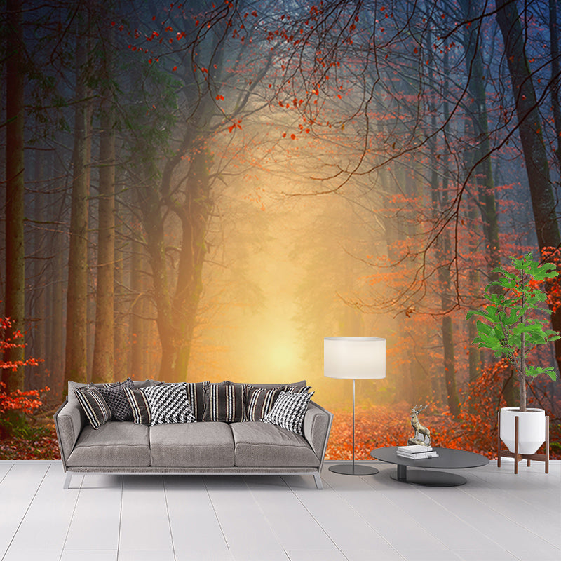 Forest Environmental Wall Mural Wallpaper Sitting Room Wall Mural