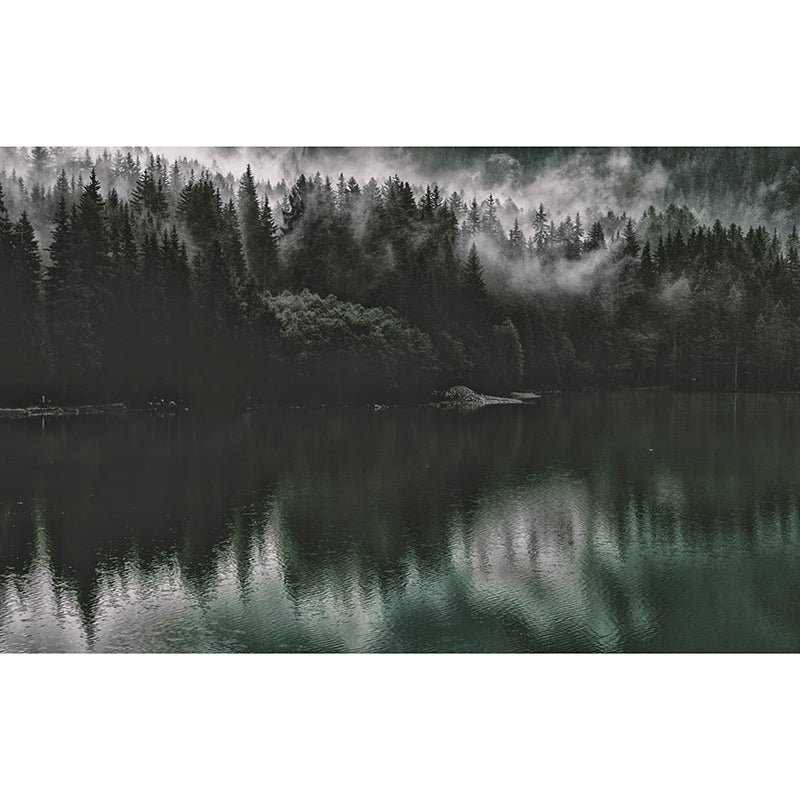 Forest Washable Photography Mural Wallpaper Indoor Wall Mural