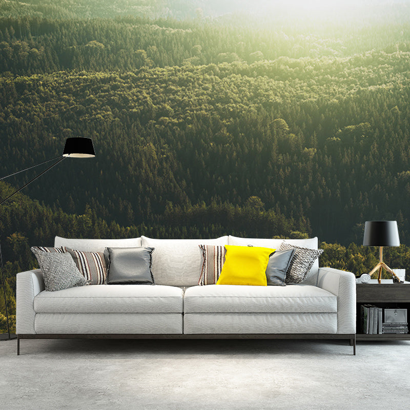 Environment Friendly Mural Wallpaper Forest Photography Bedroom Wall Mural
