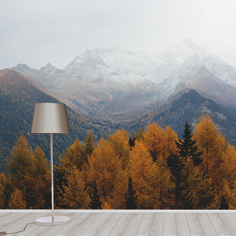 Forest Washable Stain Resistant Wall Mural Wallpaper Sitting Room Wall Mural