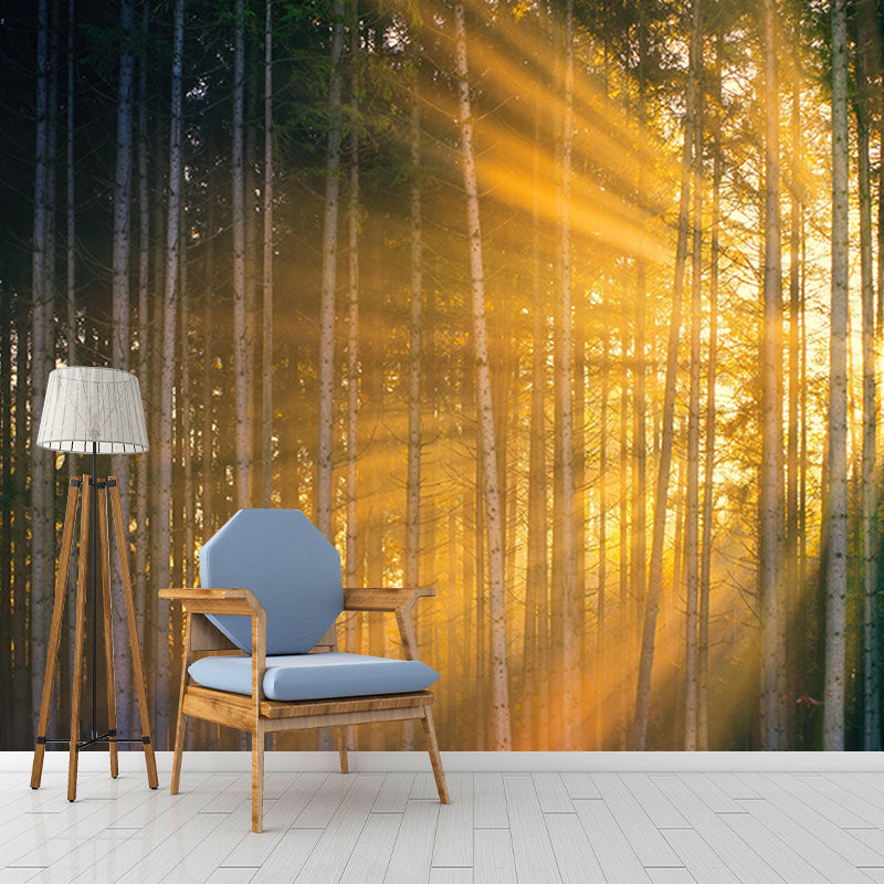 Wallpaper Forest Mildew Resistant Mural Photography Sleeping Room Wall Mural