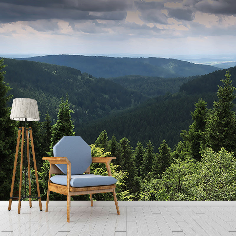 Photography Forest Stain Resistant Mural Wallpaper Sitting Room Wall Mural