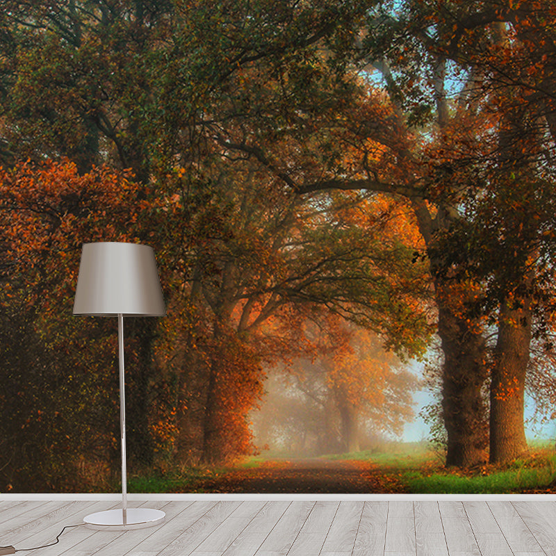 Photography Forest Stain Resistant Mural Wallpaper Sitting Room Wall Mural