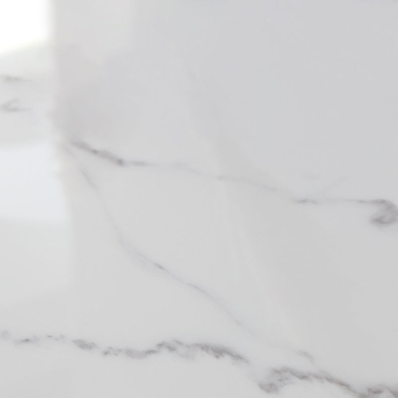 Nordic Style 1/4/5/7 Pieces Dining Set Sintered Stone Dining Table Set with Metal Legs