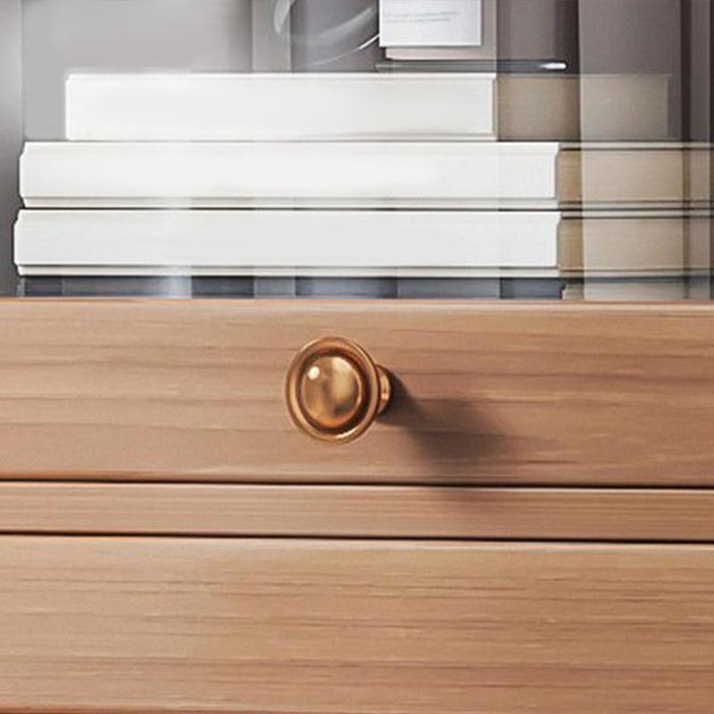 Contemporary Barrister Brown Bookshelf Engineered Wood Closed Back Shelf with Door