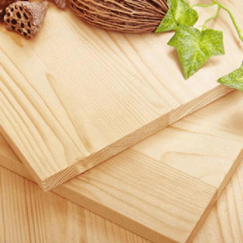 2/3-Shelf Natural Modern Bookshelf Pine Wood Geometric Closed Back Bookshelf