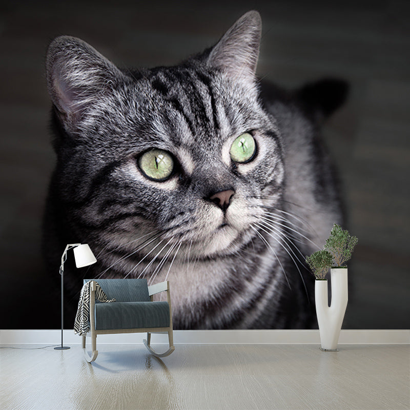 Cute Cats Mildew Resistant Mural Wallpaper Living Room Wall Mural