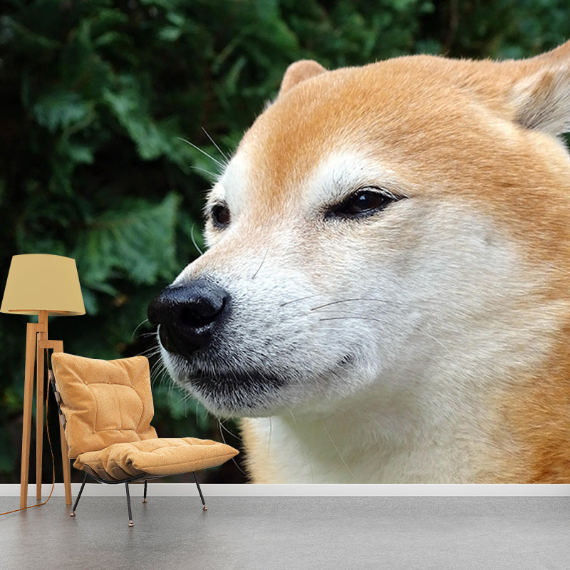 Decorative Photography Mural Wallpaper Cute Dogs Indoor Wall Mural