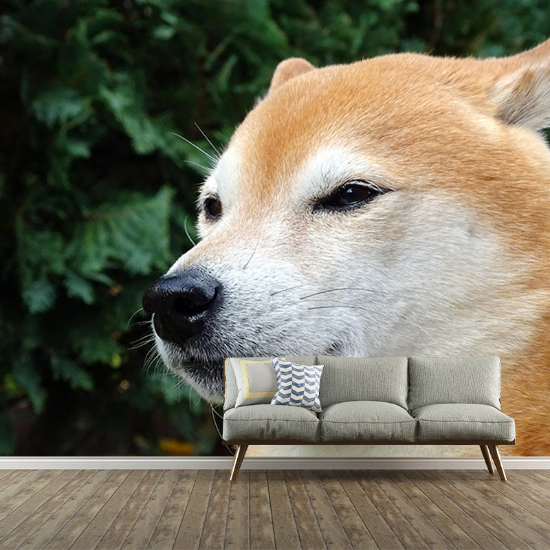 Decorative Photography Mural Wallpaper Cute Dogs Indoor Wall Mural