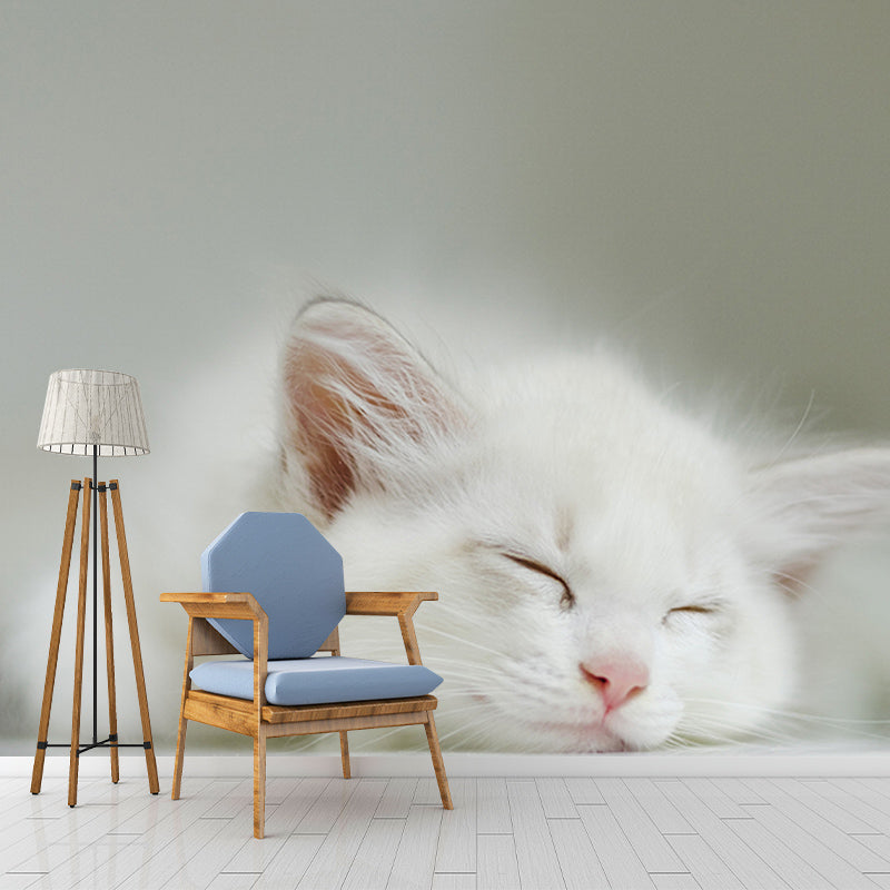 Cute Cats Photography Mural Wallpaper Environment Friendly Living Room Wall Mural