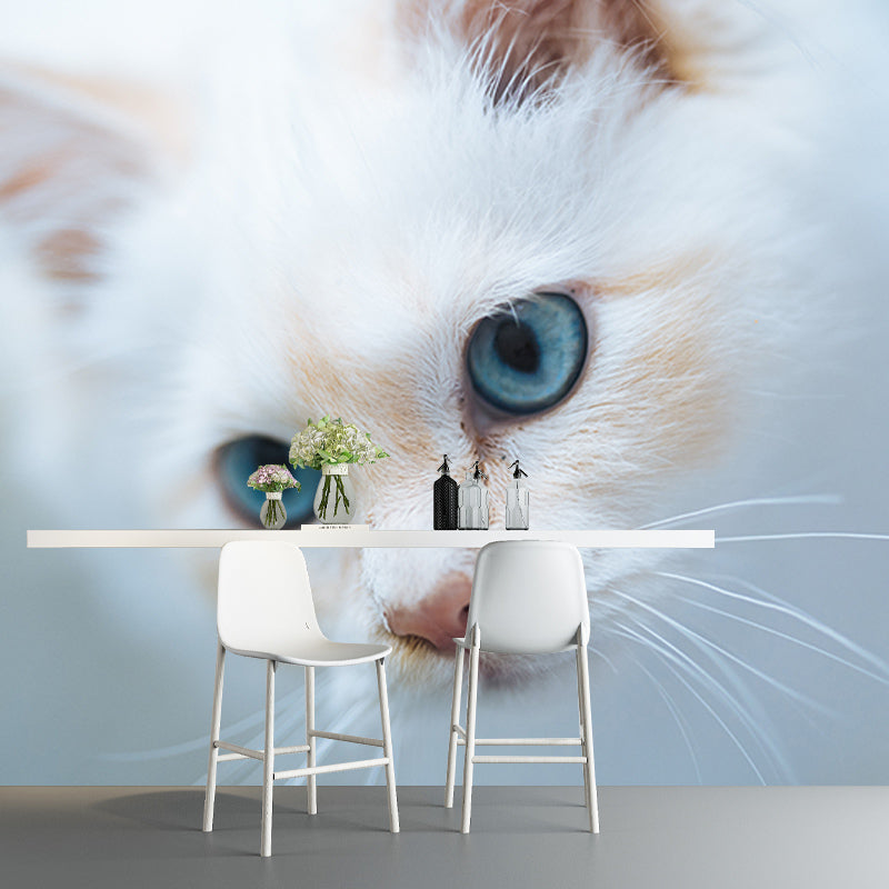 Cute Cats Photography Mural Wallpaper Environment Friendly Living Room Wall Mural
