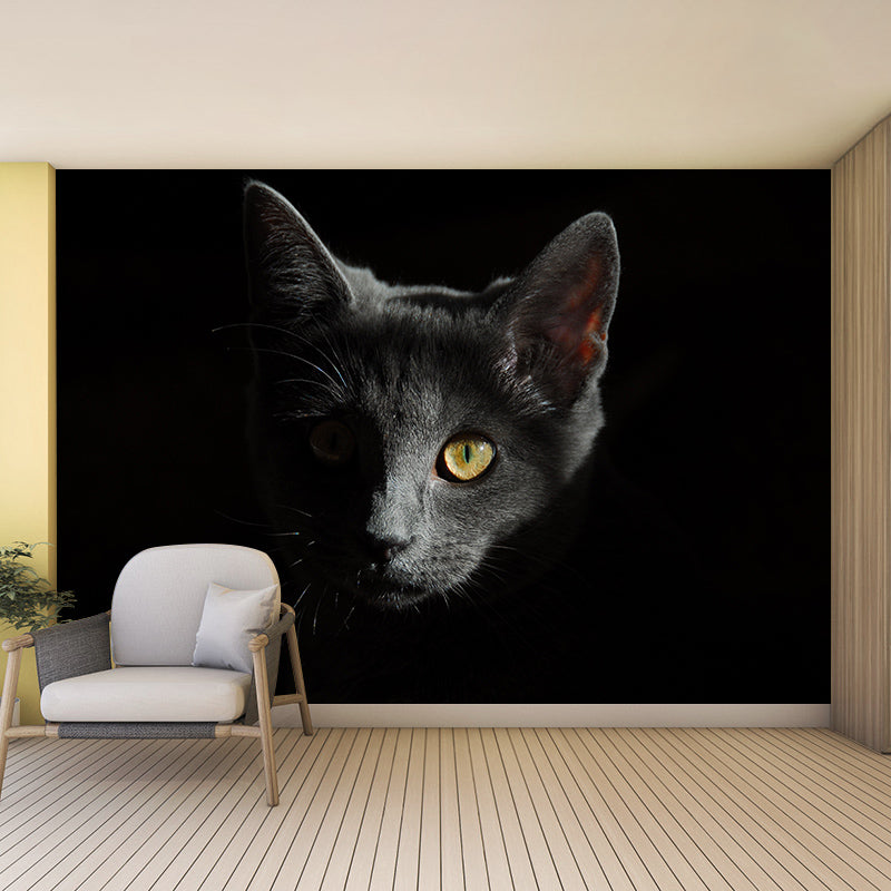 Photography Stain Resistant Mural Wallpaper Cute Cats Indoor Wall Mural