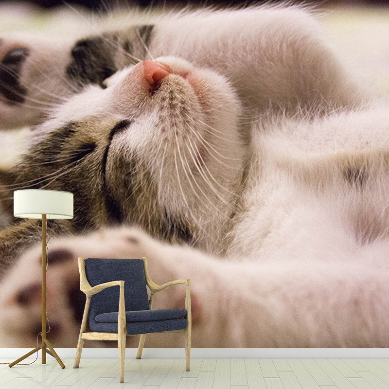 Photography Stain Resistant Mural Wallpaper Cute Cats Indoor Wall Mural