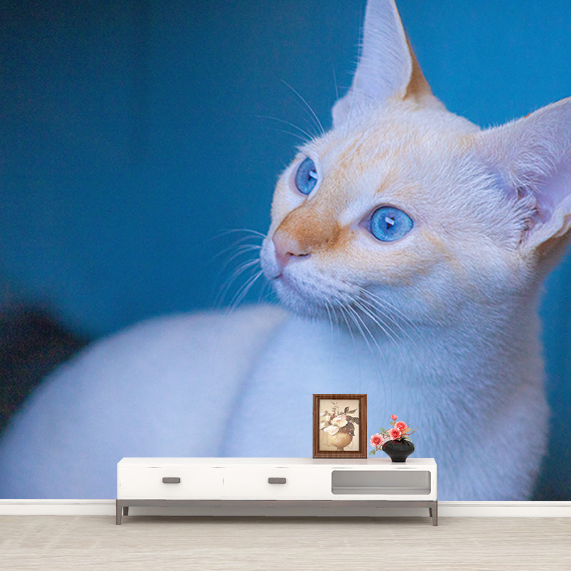 Modern Style Mural Wallpaper Cute Cats Photography Indoor Wall Mural