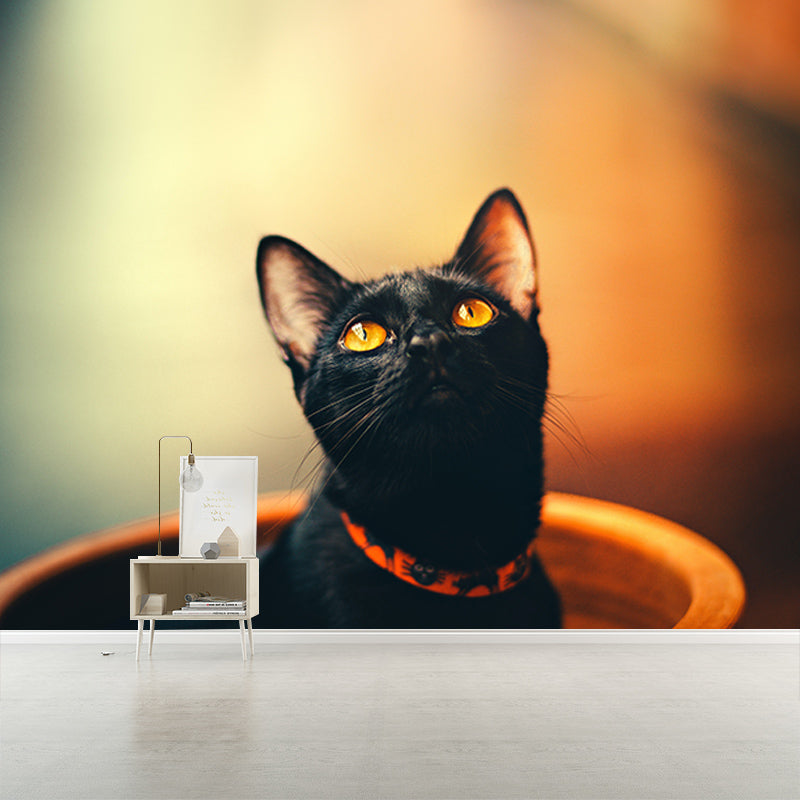 Modern Style Mural Wallpaper Cute Cats Photography Indoor Wall Mural