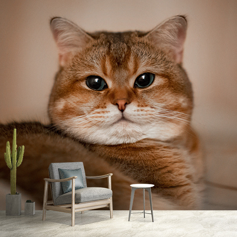 Photography Environment Friendly Mural Wallpaper Cute Cats Bedroom Wall Mural