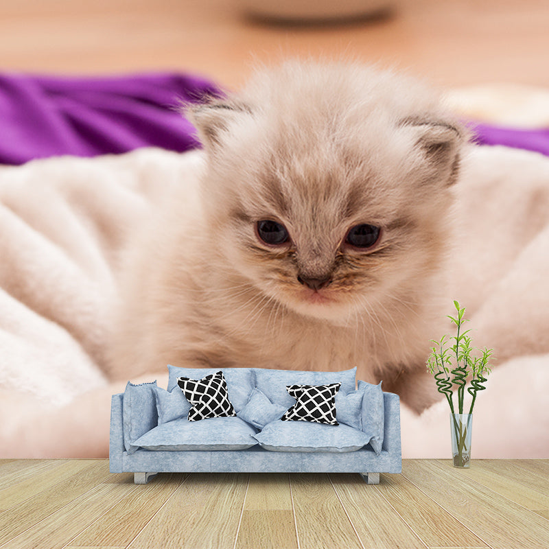 Photography Environment Friendly Mural Wallpaper Cute Cats Bedroom Wall Mural