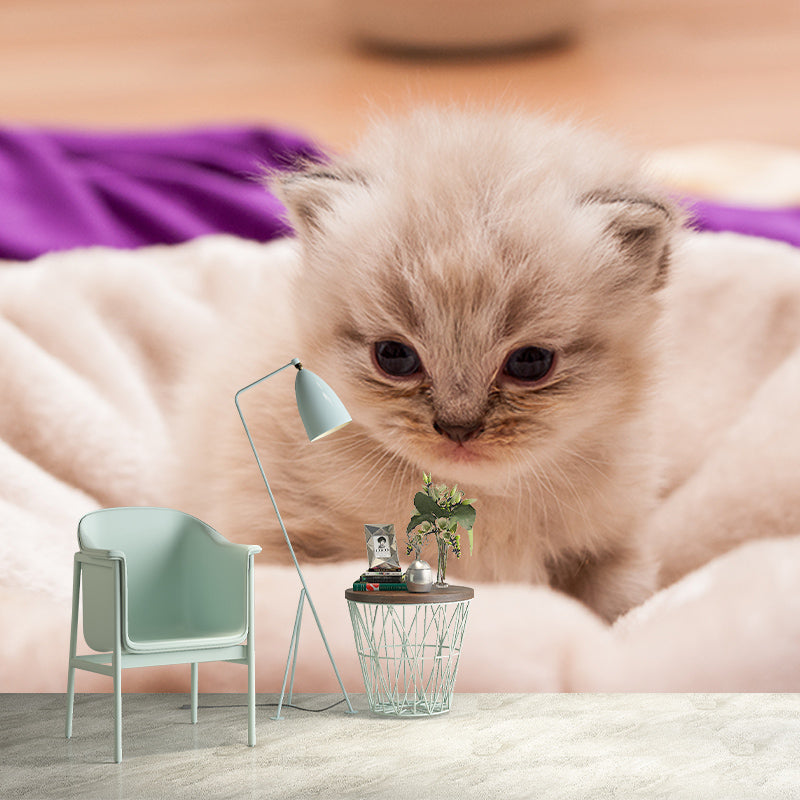 Photography Environment Friendly Mural Wallpaper Cute Cats Bedroom Wall Mural