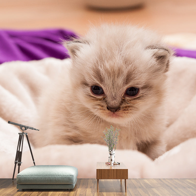 Photography Environment Friendly Mural Wallpaper Cute Cats Bedroom Wall Mural