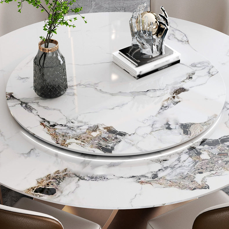 Modern 1/4/7 Pieces Dining Table Set with Sintered Stone Top Stainless Steel Dinette Set