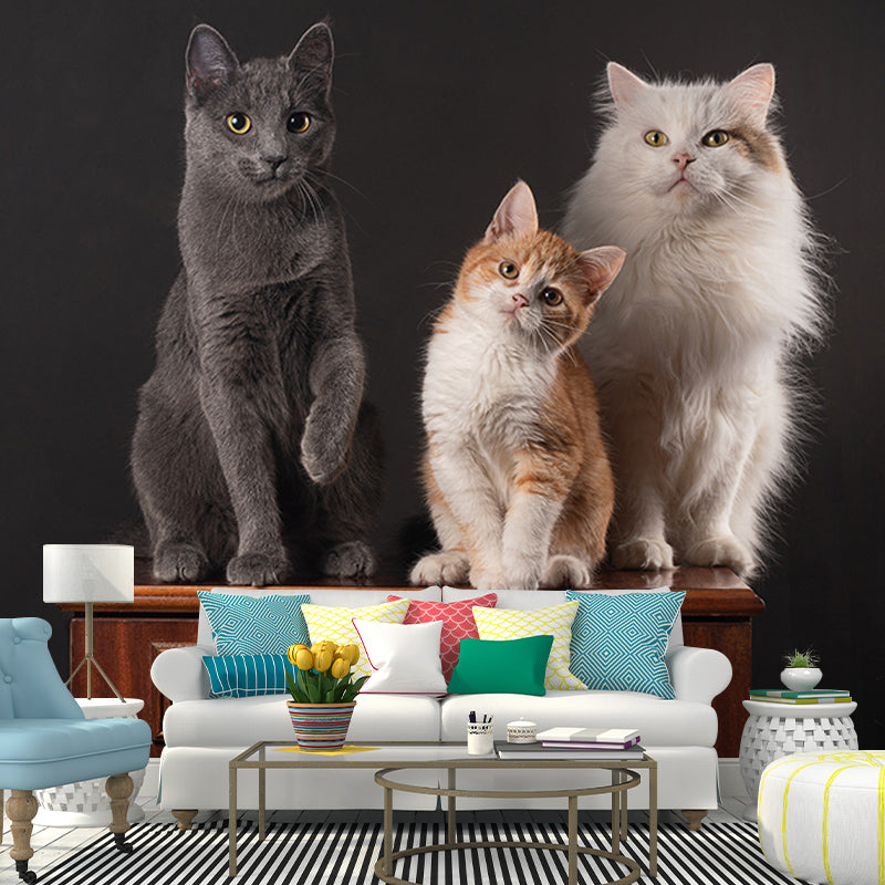 Eco-friendly Wall Mural Wallpaper Cute Cats Photography Sitting Room Wall Mural