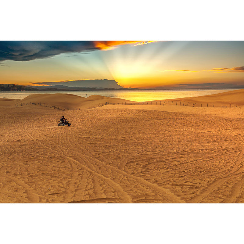 Desert Landscape Photography Mildew Resistant Wallpaper  Sleeping Room Wall Mural