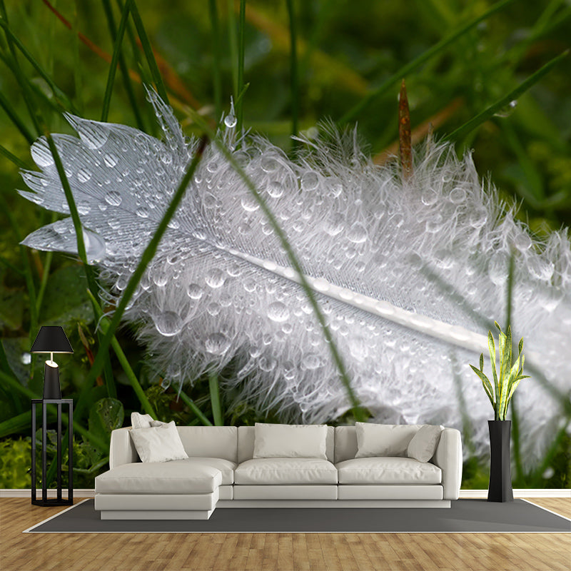 Washable Stain Resistant Mural Wallpaper Feather Indoor Wall Mural